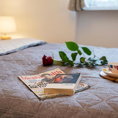 Central Bright Apartment Κλουζ-Ναπόκα Εξωτερικό φωτογραφία