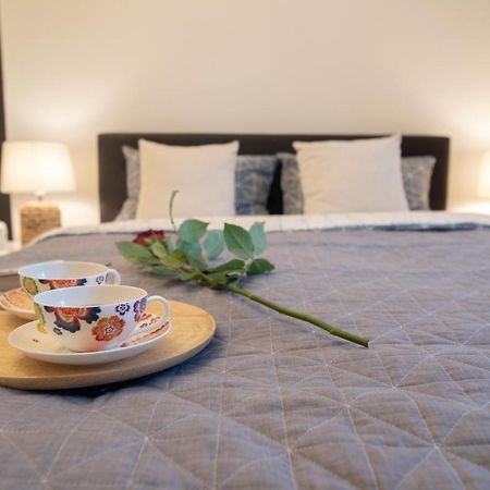 Central Bright Apartment Κλουζ-Ναπόκα Εξωτερικό φωτογραφία