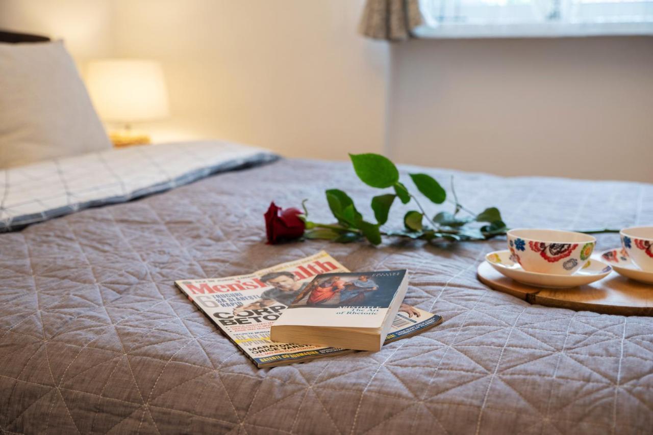 Central Bright Apartment Κλουζ-Ναπόκα Εξωτερικό φωτογραφία