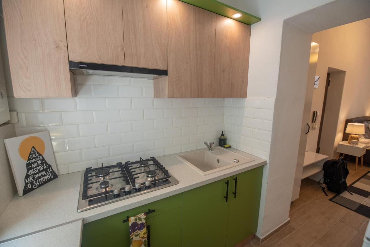 Central Bright Apartment Κλουζ-Ναπόκα Εξωτερικό φωτογραφία